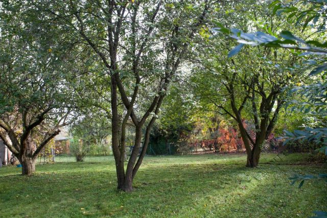 Działka rod Warszawa Wawer, ul. Skalnicowa. Zdjęcie 9
