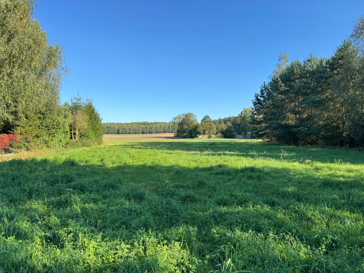 Działka budowlana Mława Krajewo, ul. Krajewo. Zdjęcie 2