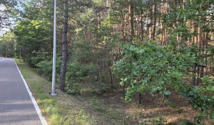 Działka leśna Wólka Radzymińska, ul. Szkolna