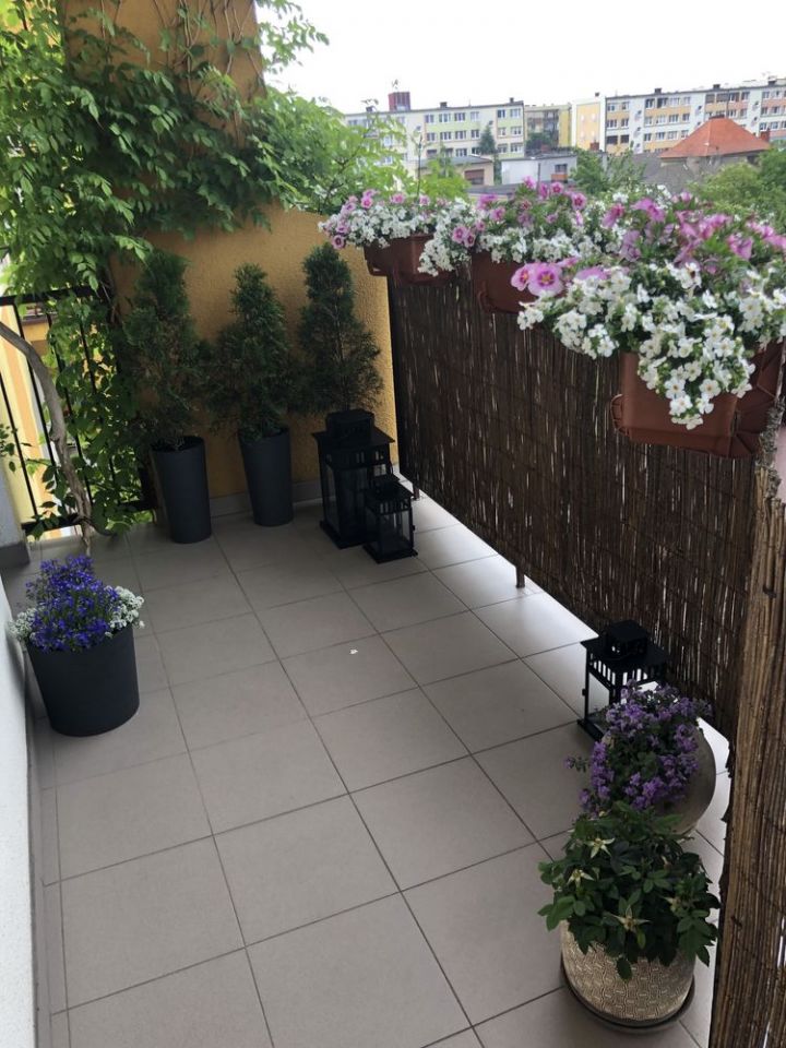 Mieszkanie 4-pokojowe Krotoszyn, os. Dąbrowskiego. Zdjęcie 8