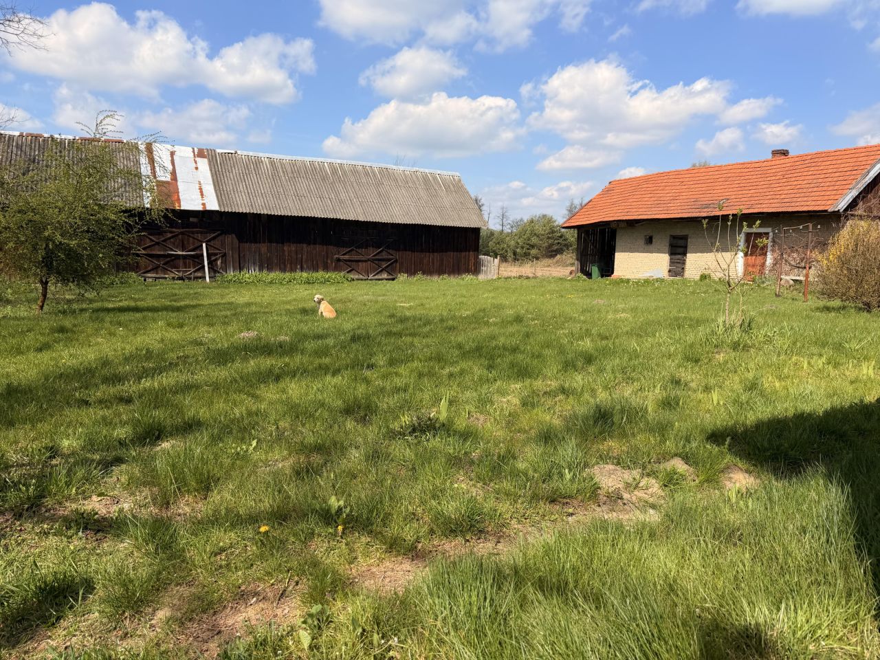 gospodarstwo, 1 pokój Chruślanki Mazanowskie, Chruślanki Mazanowskie. Zdjęcie 9