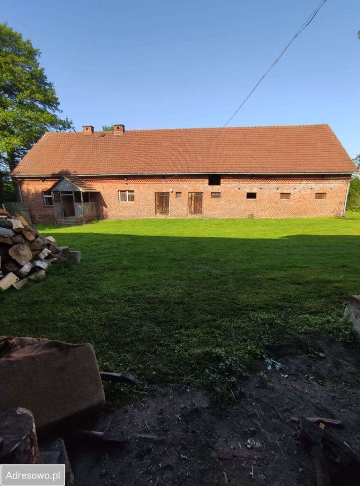 Działka rolna Osiecko. Zdjęcie 7