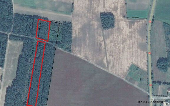 Działka leśna Łanięta. Zdjęcie 3