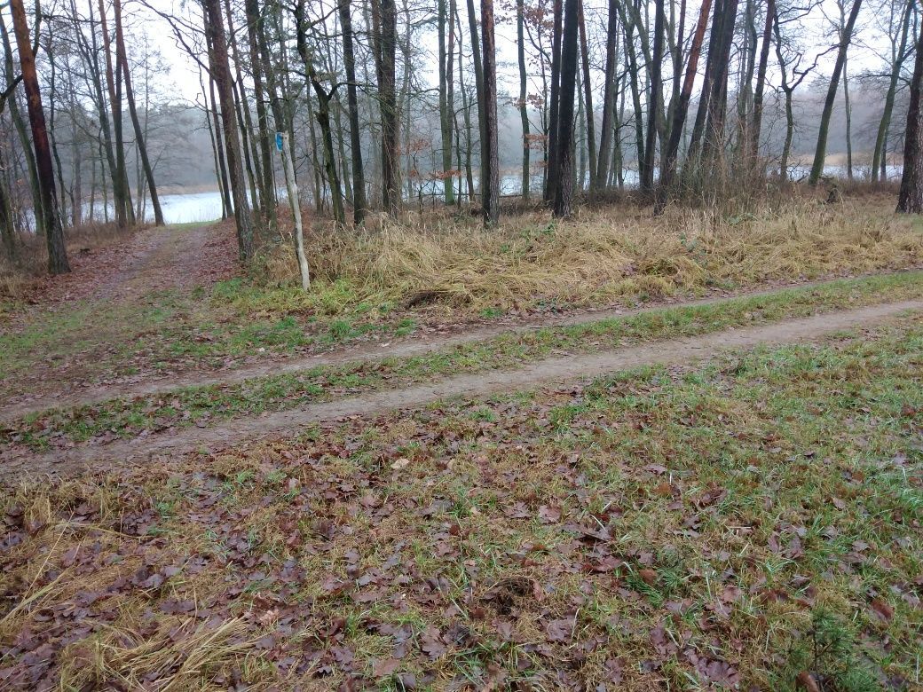 Działka rolna Ciszkowo. Zdjęcie 2