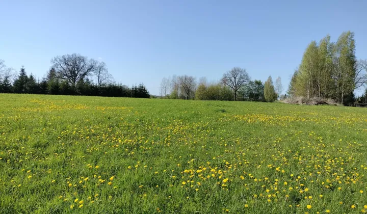 Działka budowlana Księżno