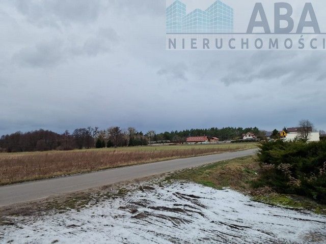 Hala/magazyn Brzeźno, ul. Sienna. Zdjęcie 12