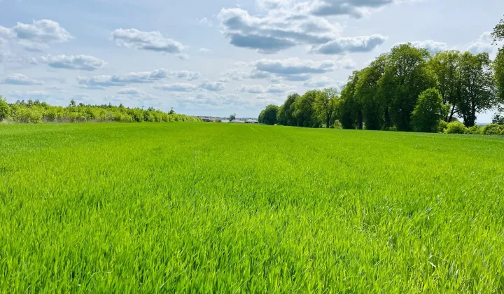 Działka budowlana Sichów Duży