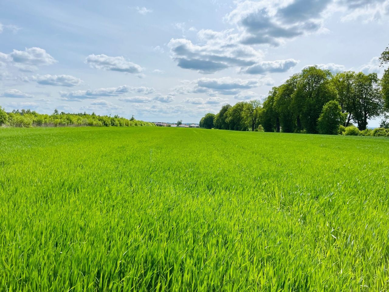 Działka budowlana Sichów Duży. Zdjęcie 1