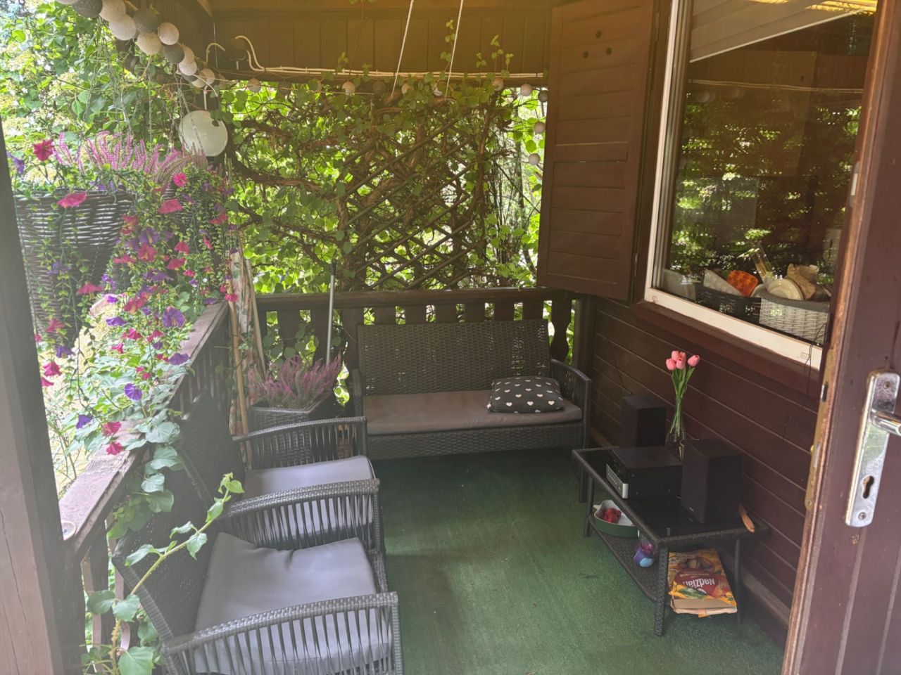 Działka rod Romanów. Zdjęcie 6