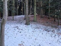 Działka leśna Inwałd, Prosta. Zdjęcie 4