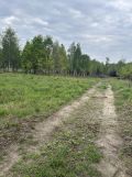 Działka rekreacyjna Orzechów-Kolonia. Zdjęcie 1