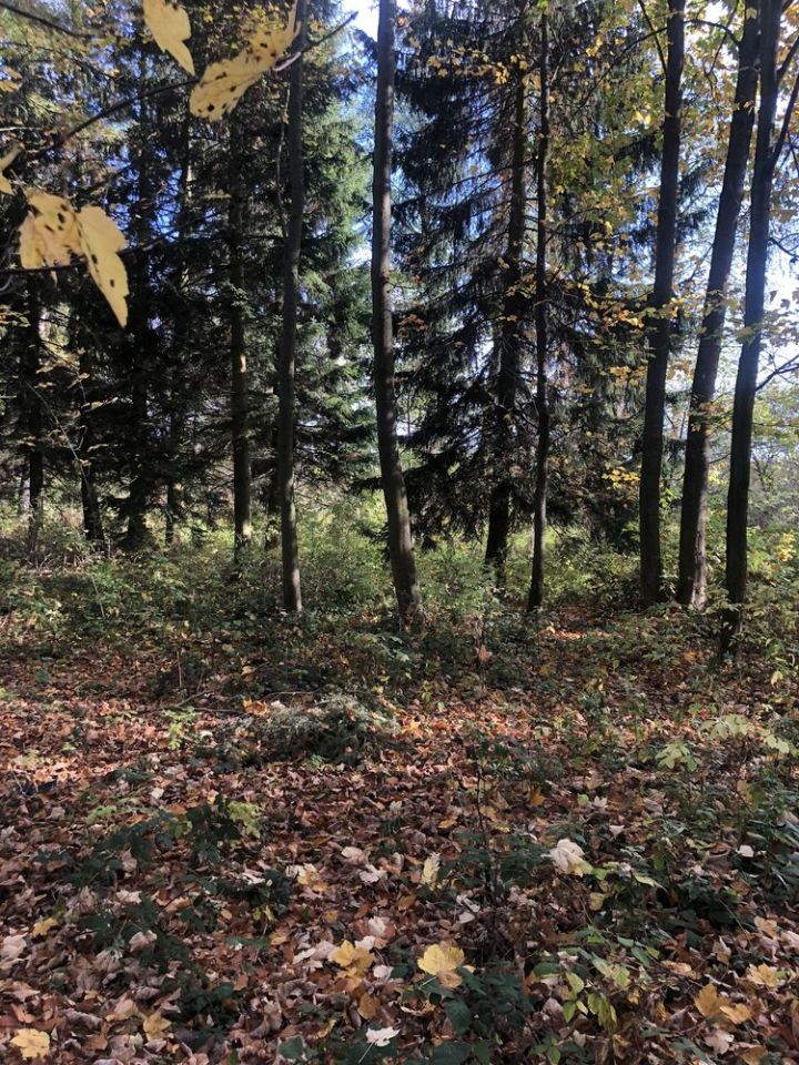 Działka budowlana Chocieszów. Zdjęcie 2