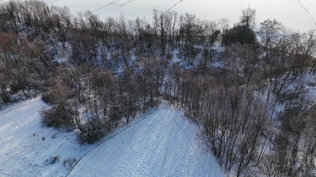 Działka rolno-budowlana Sieciechowice. Zdjęcie 6