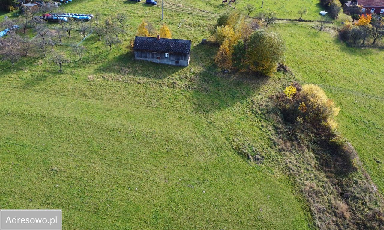 Działka budowlana Sadek. Zdjęcie 3