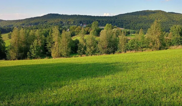 Działka budowlana Zasań
