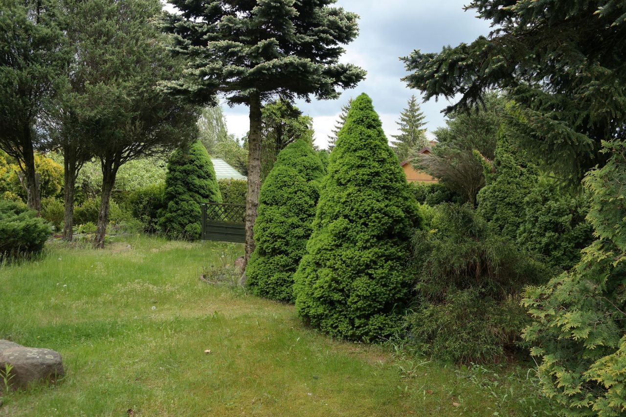 Działka rod Niewodnica Kościelna, ul. Działkowców. Zdjęcie 33