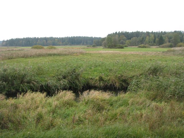 Działka rolna Mićkowa Hać. Zdjęcie 1