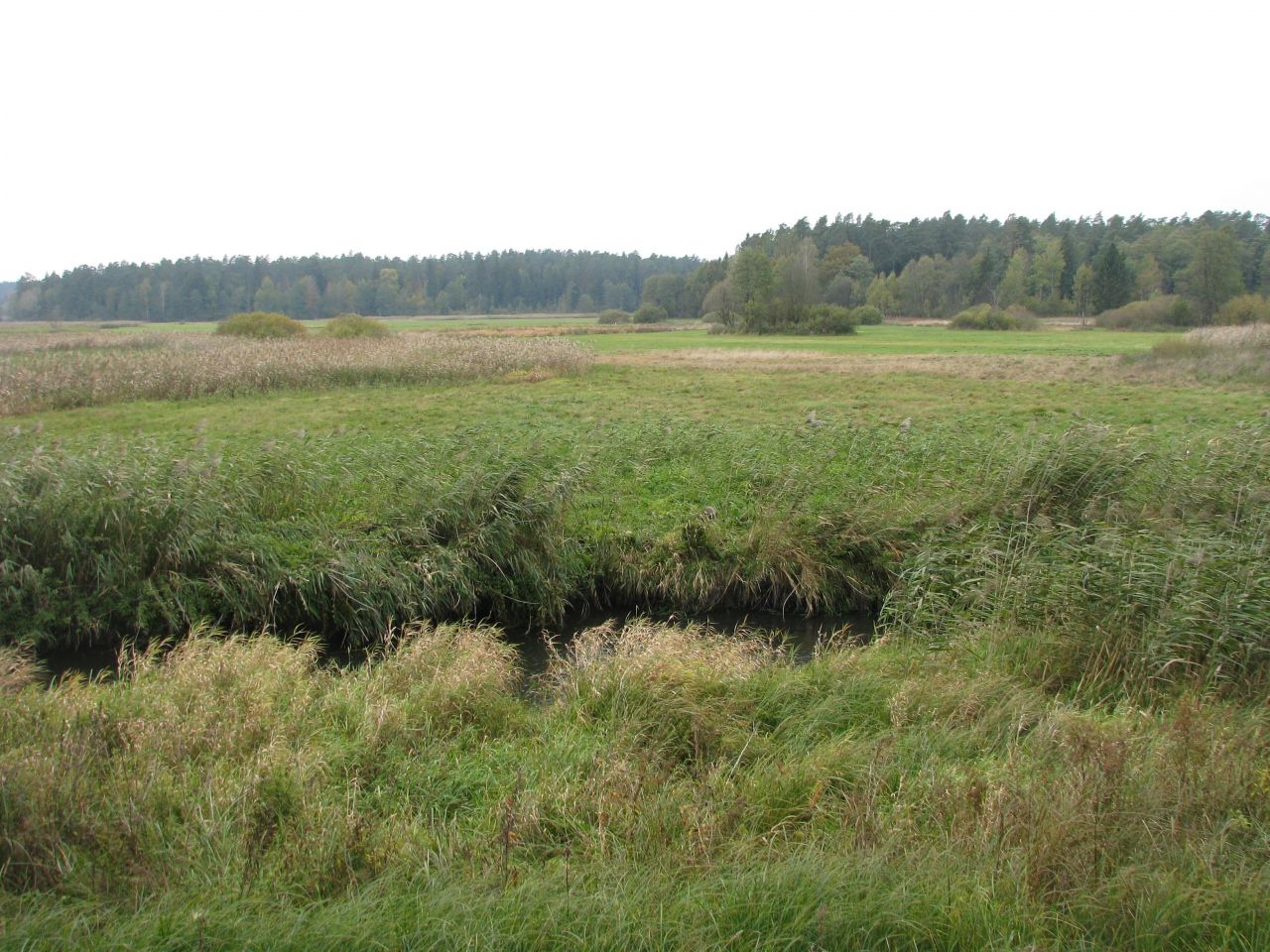 Działka rolna Mićkowa Hać. Zdjęcie 1
