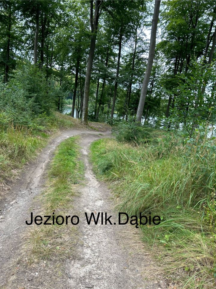 Działka rolna Rydzewo. Zdjęcie 11