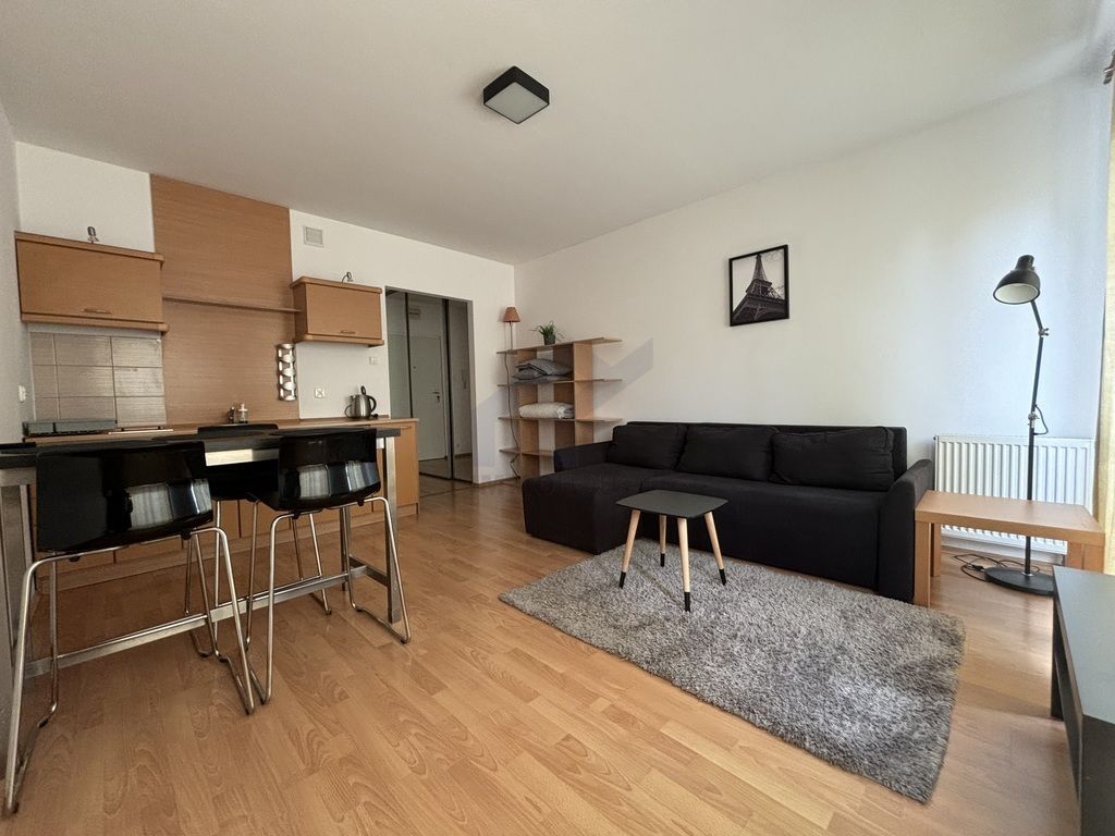 Mieszkanie 1-pokojowe Poznań Centrum, ul. Ogrodowa