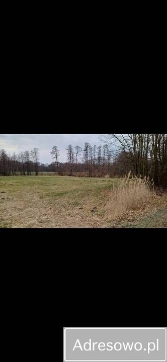 Działka rolno-budowlana Soboklęszcz. Zdjęcie 4