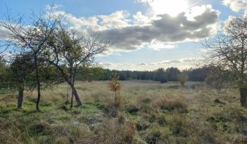 Działka rolno-budowlana Węglów, Węglów