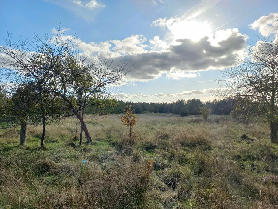 Działka rolno-budowlana Węglów