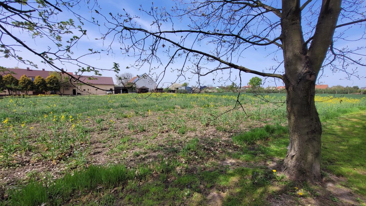 Działka rolno-budowlana Michałów. Zdjęcie 6