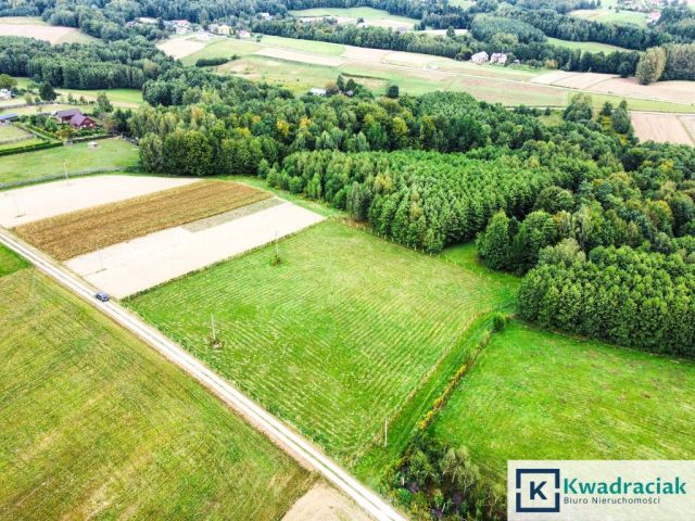 Działka budowlana Huta Gogołowska. Zdjęcie 8
