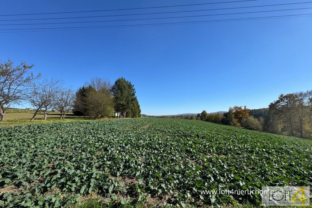 Działka budowlana Tuchów, ul. Ryglicka. Zdjęcie 6
