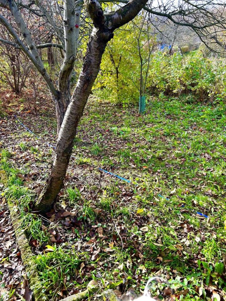 Działka rod Lądek-Zdrój. Zdjęcie 6