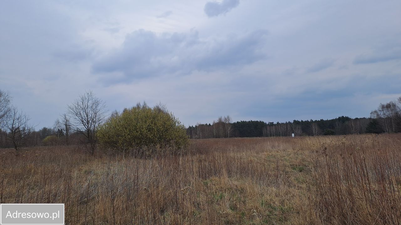 Działka rolno-budowlana Kąck, ul. Myśliwska. Zdjęcie 7