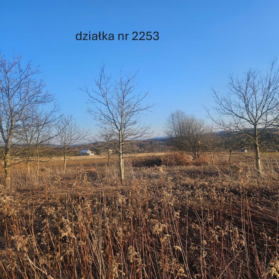Działka rolna Szerzyny. Zdjęcie 5