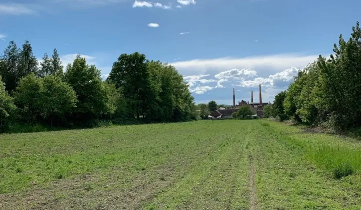 Działka budowlana Pieńsk, ul. Kazimierza Wielkiego