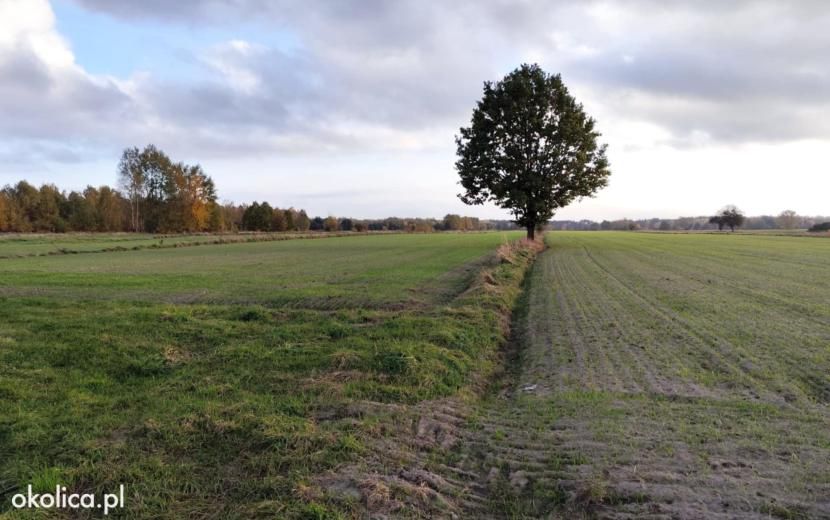 Działka budowlana Poręby Nowe. Zdjęcie 4