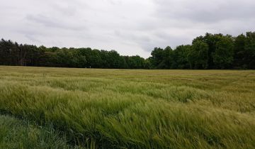 Działka rolna Giżyn