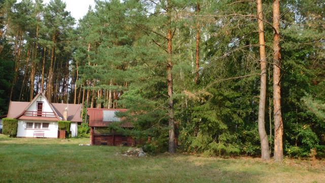 Działka budowlana Mieszkowo, ul. Traktowa. Zdjęcie 11