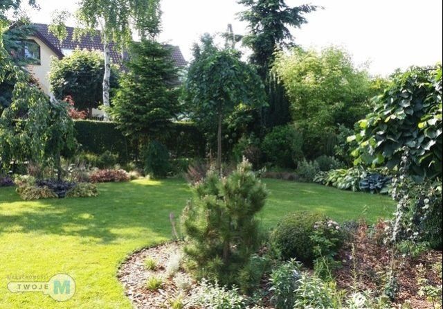 dom, 4 pokoje Daleszyce. Zdjęcie 4