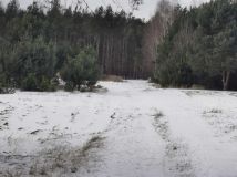 Działka leśna Nowy Jasieniec Iłżecki. Zdjęcie 4