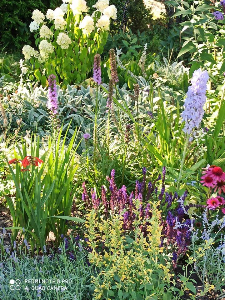 Działka rod Dąbrowa Górnicza. Zdjęcie 5