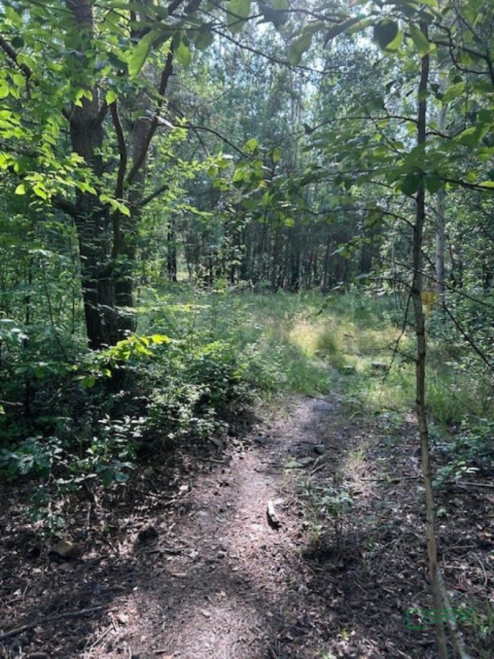Działka inna Mysłowice Wesoła, ul. 11 Listopada. Zdjęcie 6