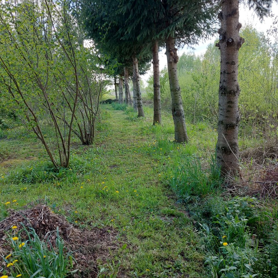 dom wolnostojący, 2 pokoje Markusy, Markusy. Zdjęcie 4