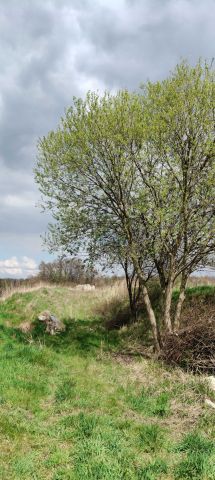 Działka budowlana Jagodnik. Zdjęcie 1