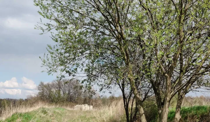 Działka budowlana Jagodnik