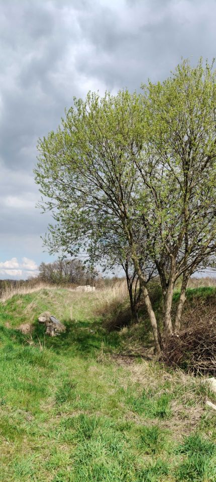 Działka budowlana Jagodnik. Zdjęcie 1