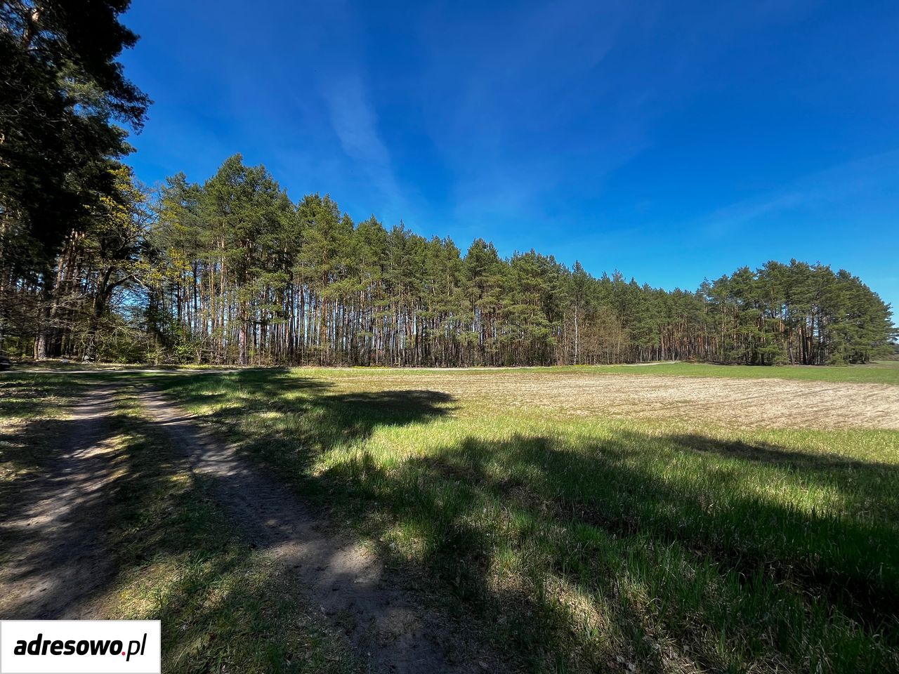 Działka rolno-budowlana Grotów. Zdjęcie 12