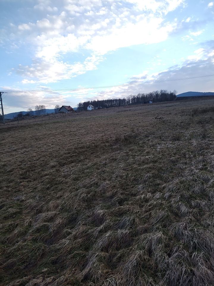 Działka budowlana Ciechanowice. Zdjęcie 6