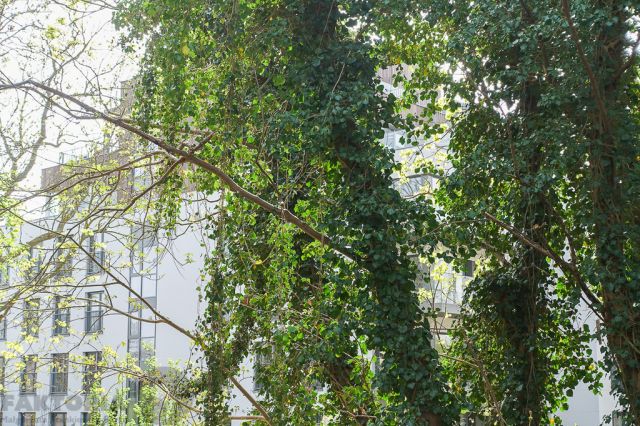 Mieszkanie 3-pokojowe Dziwnów. Zdjęcie 22