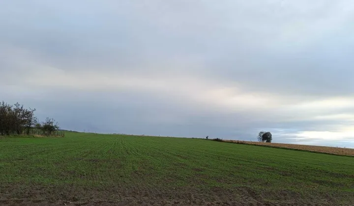 Działka budowlana Szczepankowo