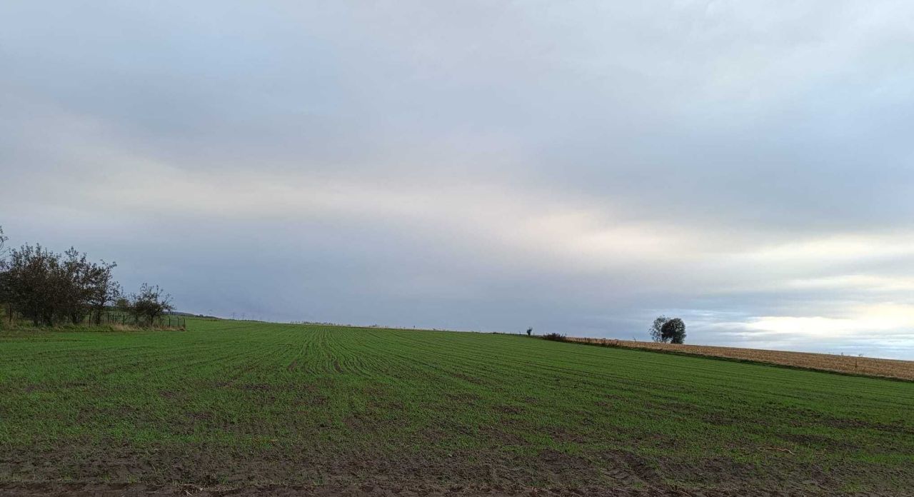 Działka budowlana Szczepankowo